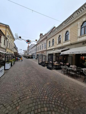 Yasmine Apartment Ultracentral, Oradea